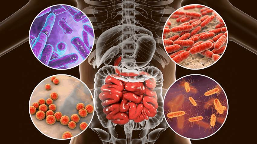 Microplásticos y sus posibles efectos nocivos en la salud humana