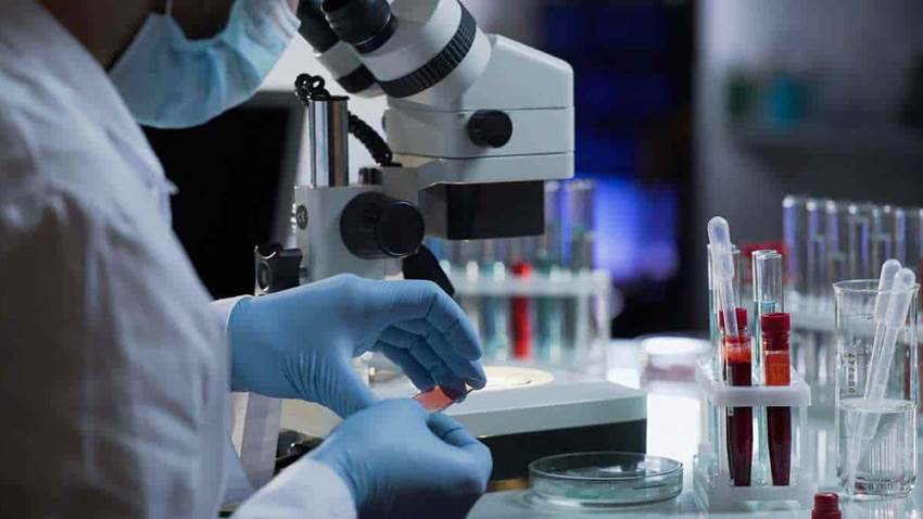 Anticuerpos contra el covid permanecen en la sangre al menos ocho meses, según estudio
