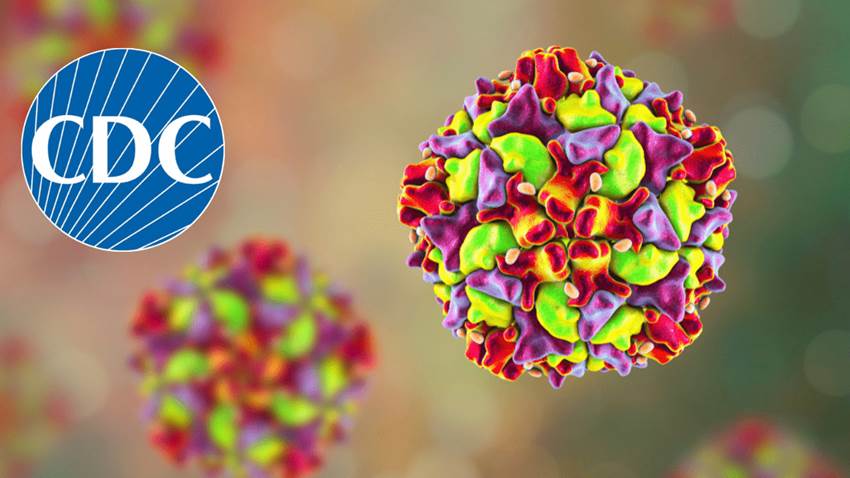Estados Unidos confirmado como país con poliovirus de origen vacunal circulante por la OMS