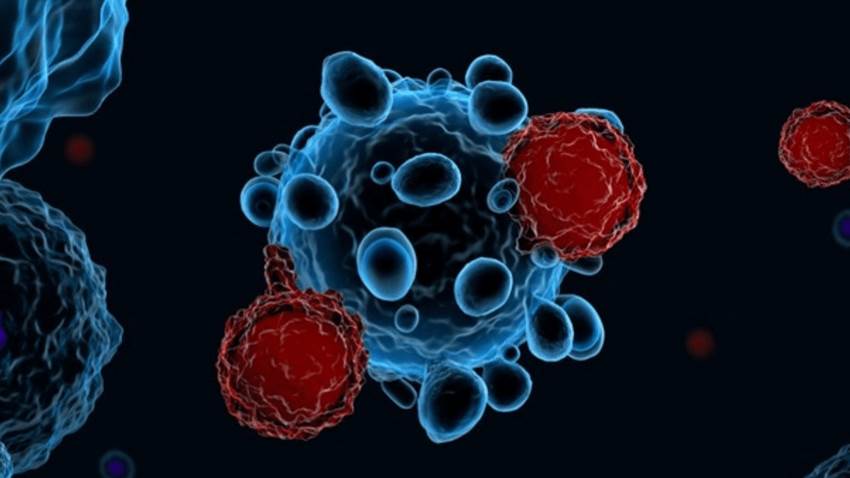 Estudio sugiere que la terapia celular con linfocitos revertiría cáncer de pulmón de células no pequeñas
