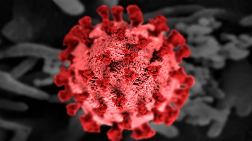 Infección simultánea con dos variantes de COVID-19 es posible