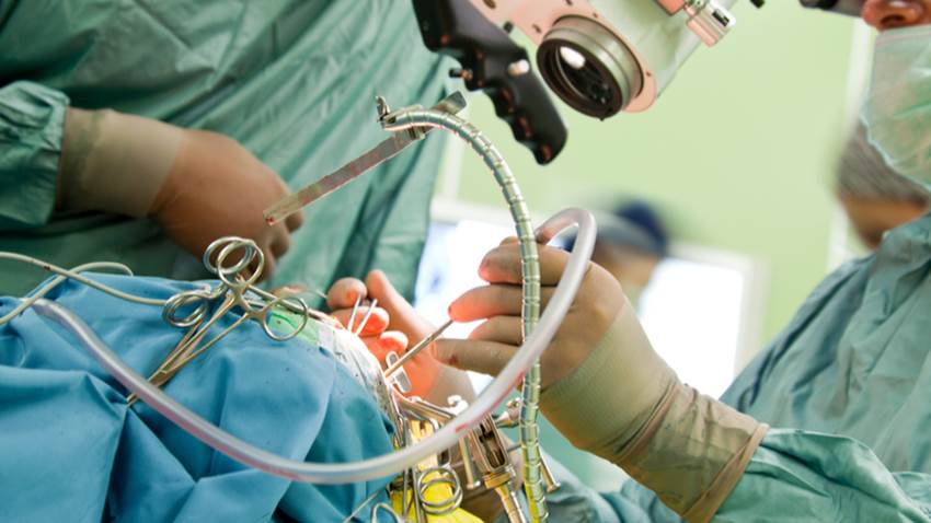 Donación de cerebro beneficiaría los tratamientos para el párkinson y el alzhéimer