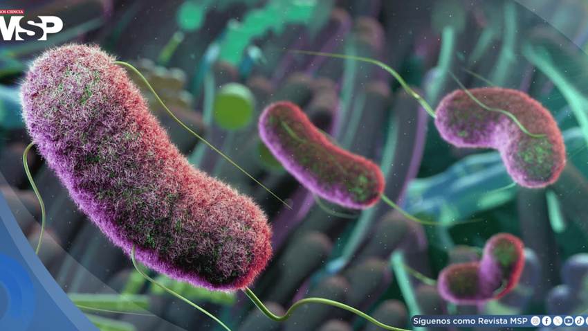 El microbioma intestinal podría predecir el párkinson antes de que aparezcan los síntomas
