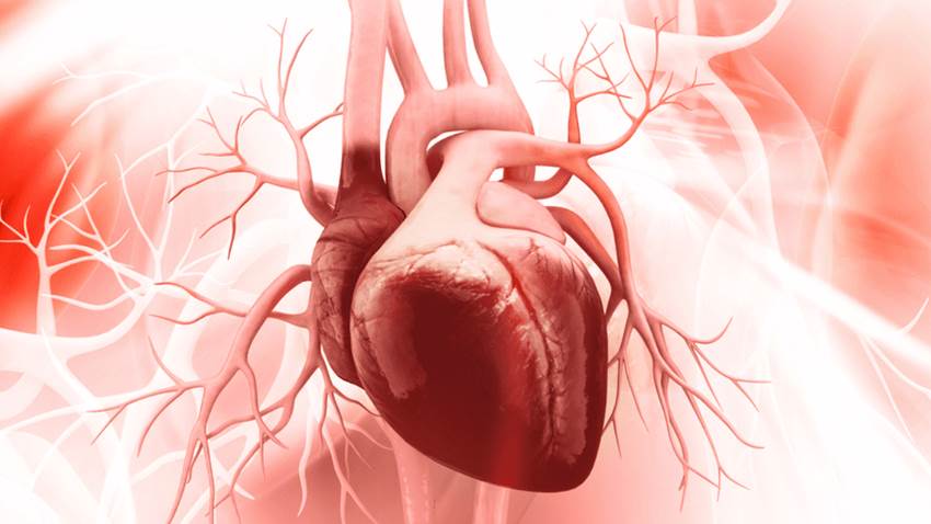 Predicción de eventos cardiacos adversos en pacientes sin insuficiencia cardiaca