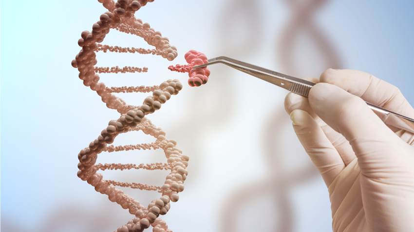 El 'genoma de la vida' fue editado por dos científicas: podrían usarlo para combatir el cáncer