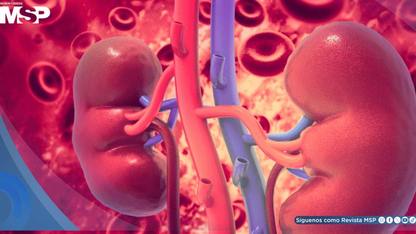 Ensayos con SGLT2, finerenona y agonistas GLP-1 impulsan avances de enfermedad renal en diabetes tipo 1