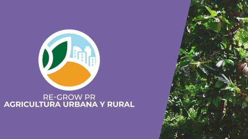 El Fideicomiso para Ciencia y el Departamento de Vivienda ponen mejoras al programa Re-Grow Puerto Rico