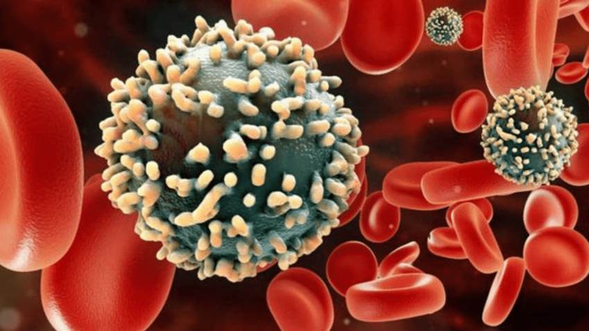 Estudio asegura que no ha disminuido cifras de contagio por VIH en población hispana y de raza negra