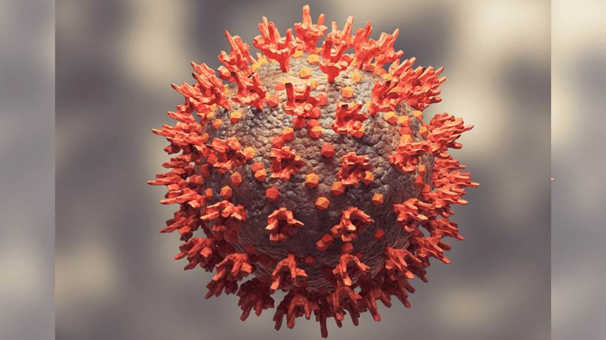 Hallan evidencia de origen de la variante Ómicron del SARS-CoV-2 en ratones