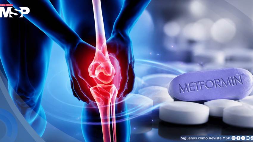 Medicamento Metformina para la diabetes demostró eficacia para la osteoartritis y el dolor de rodilla
