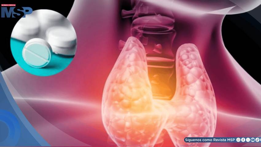 ¿Cómo consumir correctamente levotiroxina? Medicamentos, alimentos y condiciones que afectan su eficacia