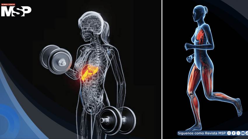 150 minutos de ejercicio semanal reducen al 50 % el riesgo de muerte prematura en mujeres: Estudio