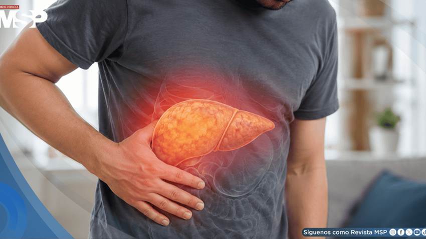 Hígado graso no alcohólico: el cansancio persistente y el dolor abdominal, señales de alerta