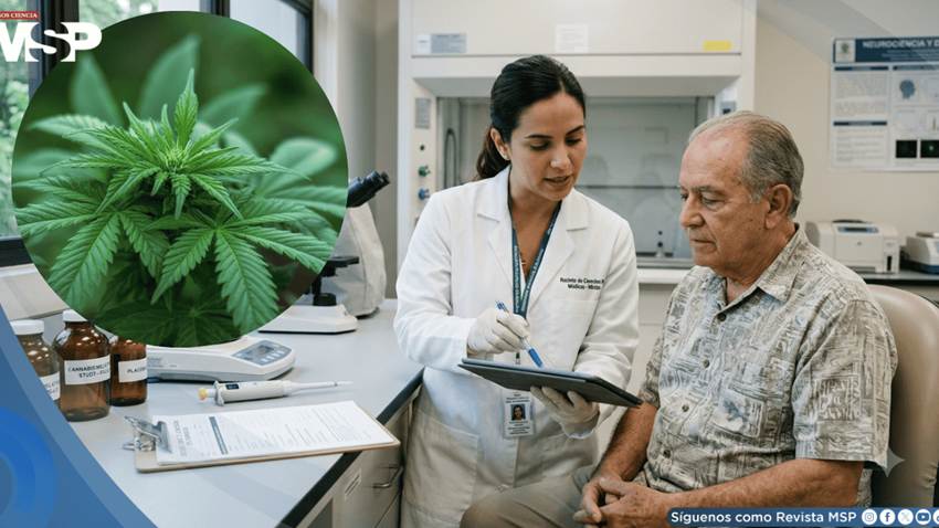 Cannabis como terapia para el alzhéimer y otros trastornos neurológicos: ¿una opción viable?