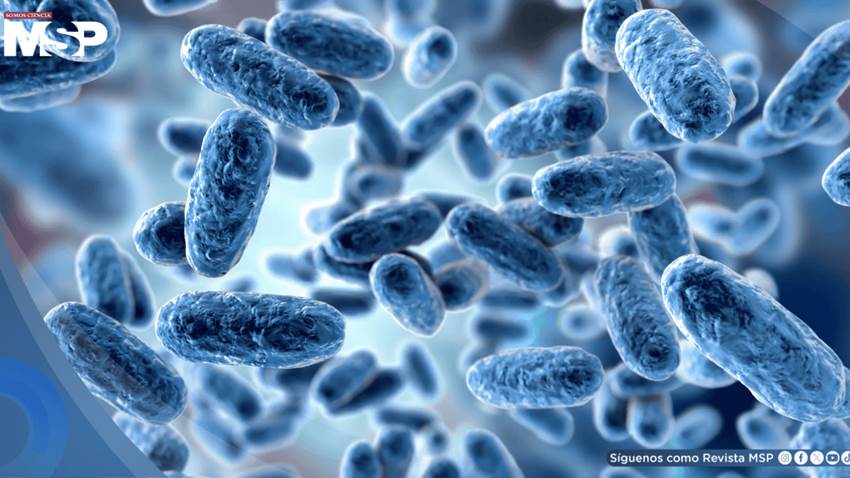 Científicos logran que bacterias descompongan plástico sin modificar su ADN