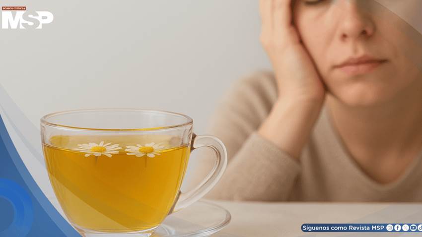 Consumo excesivo de té de manzanilla podría causar náuseas, somnolencia e interferir con medicamentos