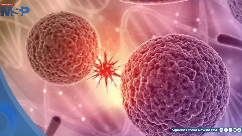 Al año, más de 100 personas son diagnosticadas con Leucemia Mieloide Crónica