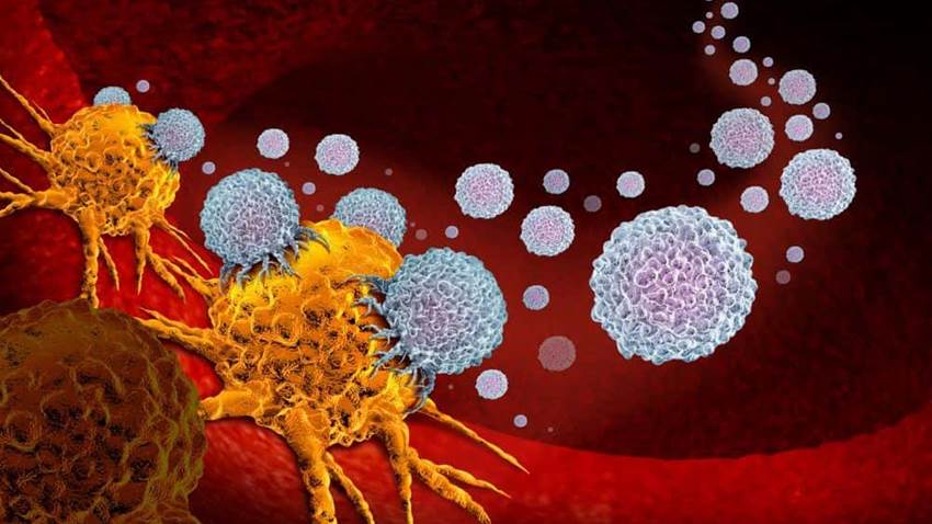 Hay mayor supervivencia con inmunoterapia combinada en el melanoma avanzado, según estudio