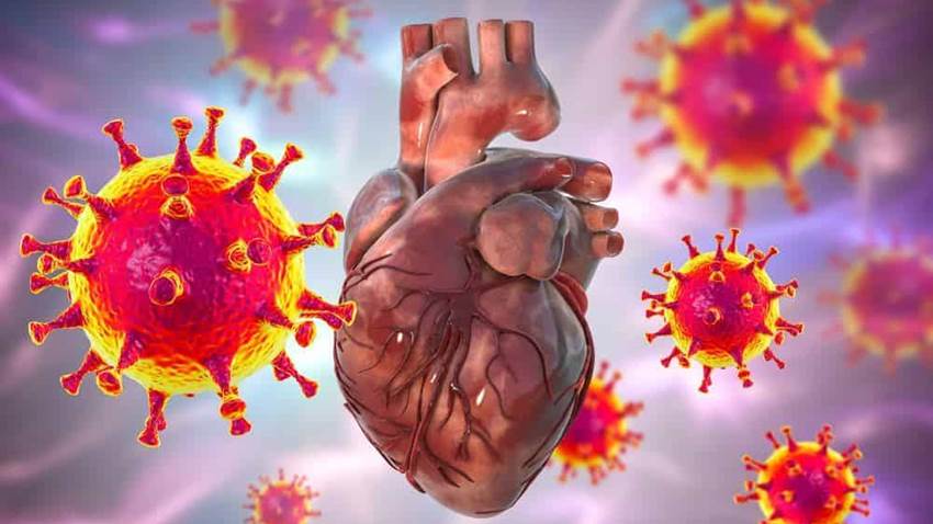La inflamación cardíaca puede estar presente después de una infección leve por COVID-19, indica estudio