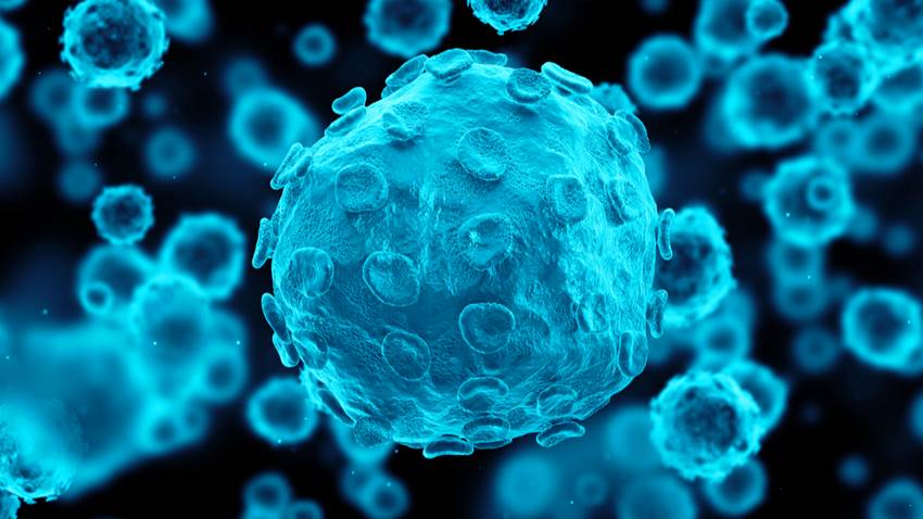 Evolución del herpes genital humano es más rápida a comparación del labial