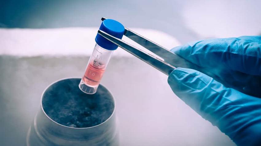 Avances en el tratamiento de la diabetes con células madre ya no son ciencia ficción
