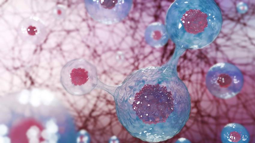 Descubren que proteína p53, relacionada con pacientes oncológicos está alterada en diabéticos