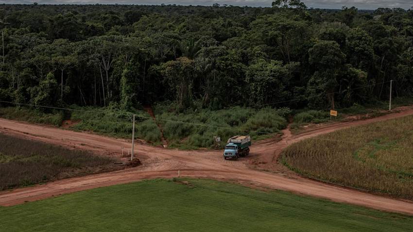 Brasil suspende un instrumento eficaz para frenar la deforestación en la Amazonia